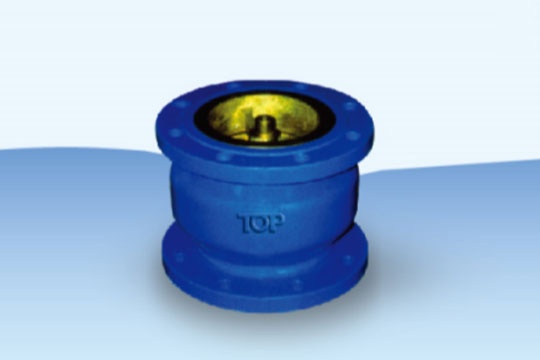 Speaking Valve