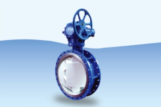 Flagian eccentric butterfly valve