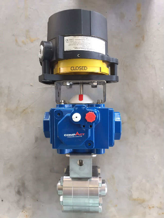 Israeli forging steel ball valve 35MPA test